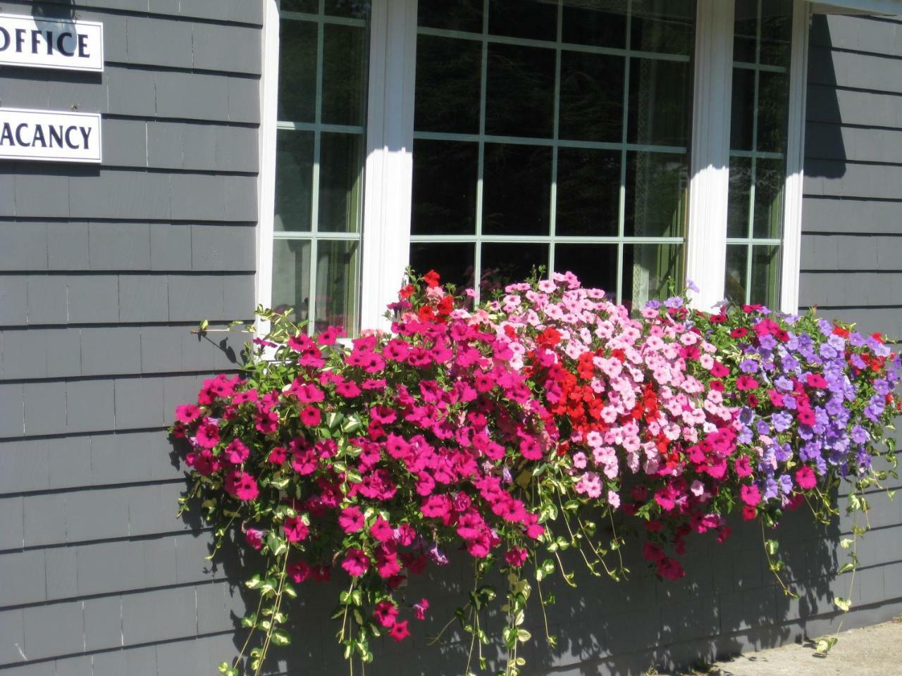 Mid-Town Motel Boothbay Harbor Luaran gambar